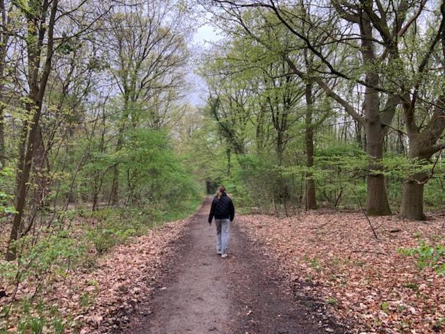 Stacaravan Huren In Het Hart Van Bosrijk Drenthe Op Recreatiepark De Tien Heugten Schoonloo ภายนอก รูปภาพ