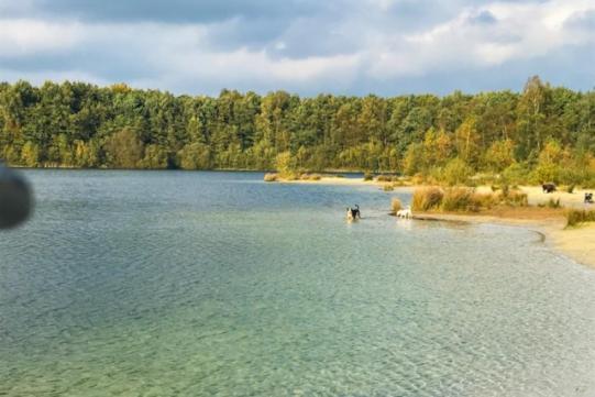 Stacaravan Huren In Het Hart Van Bosrijk Drenthe Op Recreatiepark De Tien Heugten Schoonloo ภายนอก รูปภาพ